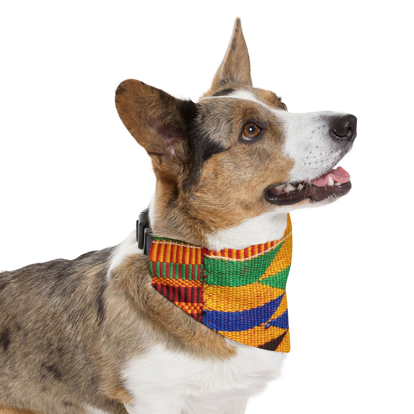 Pet Bandana Collar